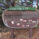 정감이마을 태양광발전소 이미지