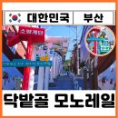 닥밭골행복협동조합 | 부산 닥밭골 벽화마을 모노레일 주차장 숨은명소 끝판왕 여행코스 추천 찐후기
