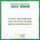 털로덮인친구들 애견유치원&애견호텔 수원시청역점 이미지