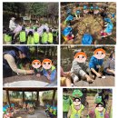 다온숲어린이집 이미지