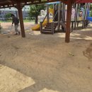 왜관초교(병설) | 경북 왜관 00초등학교 병설유치원 스팀 모래소독 작업후기