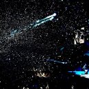 거리로R 이미지