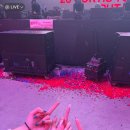 콘서트 후 팬덤 분위기 곱창난 코르티스 이미지