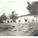 양진초등학교 이미지