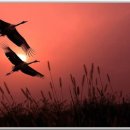 힐링건강체조 이미지