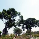 한일한약방 네이버블로그