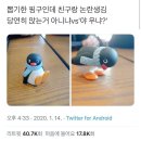 남자와 가평을 가다니