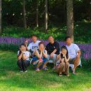 양평 주주송 독채펜션 이미지