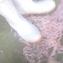 산두식품 이미지