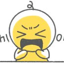 파이닥터