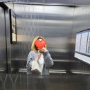 김대일동물병원 - 평택시 경기대로 1511 | 김대일동물병원