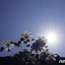 오존사이언스 이미지