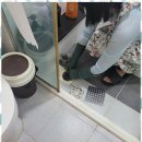 분당파출부 가사도우미 네이버블로그