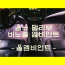 올엠비언트라이트