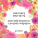 내 몸을 위한 아로마테라피 이미지