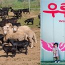 청성애원 주식회사