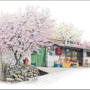 연화수퍼 이미지