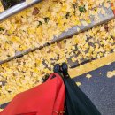 뚜리바분식 이미지