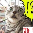 미드로 배우는 생활영어 이미지