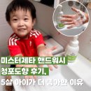 미스터제타 핸드워시 청포도향 후기, 9살 5살 아이가 더 좋아한 이유