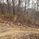 원주굽이길 8코스 태조왕건길 이미지