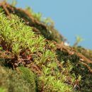 염수재(念修齋) 이미지