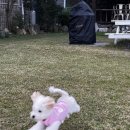 레이크 가든 이미지