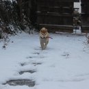 고래민박 이미지