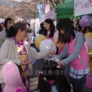 제 8회 봉숫골 꽃나들이 축제 개막 이미지