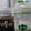 구뜨밀 이미지