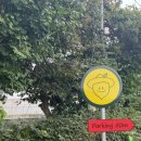 가림농장 | 제주도여행 레몬뮤지엄에서 상큼한 레몬 먹은 후기