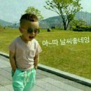 은하루 이미지