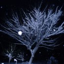 사곡1리 이미지