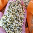 햇녹두로 녹두전 준비하세요~(해담쌀 합배송가능~) 이미지