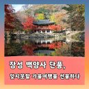 약수천 | 장성 백양사단풍 , 잊지못할 가을여행을 선물하다