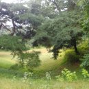 성내천공원 이미지