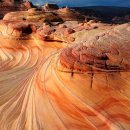 정도합기도 이미지