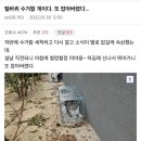 길고양이 잡아서 찬물 뿌리고 영하 5도 산에 방사하는 야옹이 갤러리 이미지