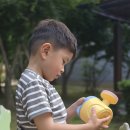 장계(부부)태권도 교육관 | 천안 영어유치원, 결국 보내기로 한 이유 (불당동 맞벌이 현실 고민)