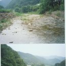 월명천 Daum카페