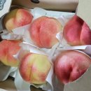 능주어린이집 이미지