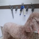 박한준종합동물병원 이미지