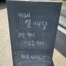 신기북7길 | 여수 열매달, 신기동 조용한 감성 카페, 티라미수 추천