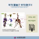 부자한의원 네이버블로그