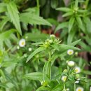 서대신역 이미지