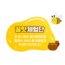 듀례술 이미지