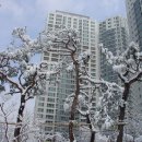 조암남로 이미지