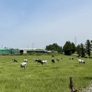 신선목장 이미지