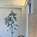 일죽 | 일죽 카페소을 내돈내산 후기ㅣ시바견이 반겨주는 힐링카페