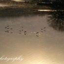 합천호 그리다 이미지